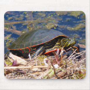 Mousepad Tartaruga pintada (picta do Chrysemys) 3