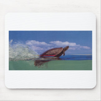 Mousepad tartaruga rápida