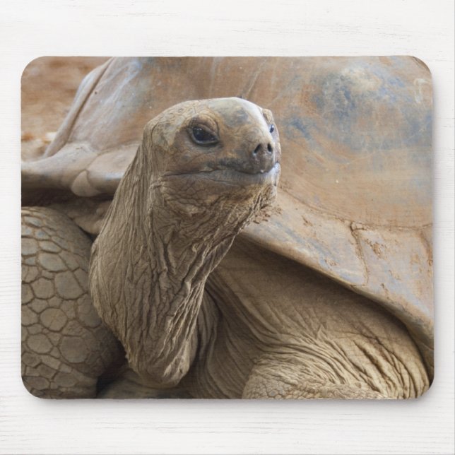 Mousepad Tartaruga terrestre de Aldabra das Seychelles (Frente)