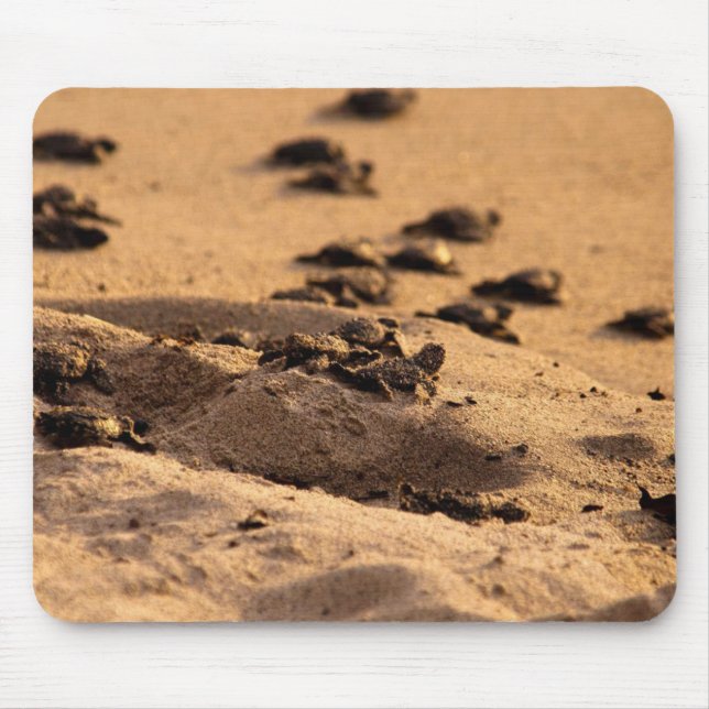 Mousepad Tartarugas de mar (Frente)