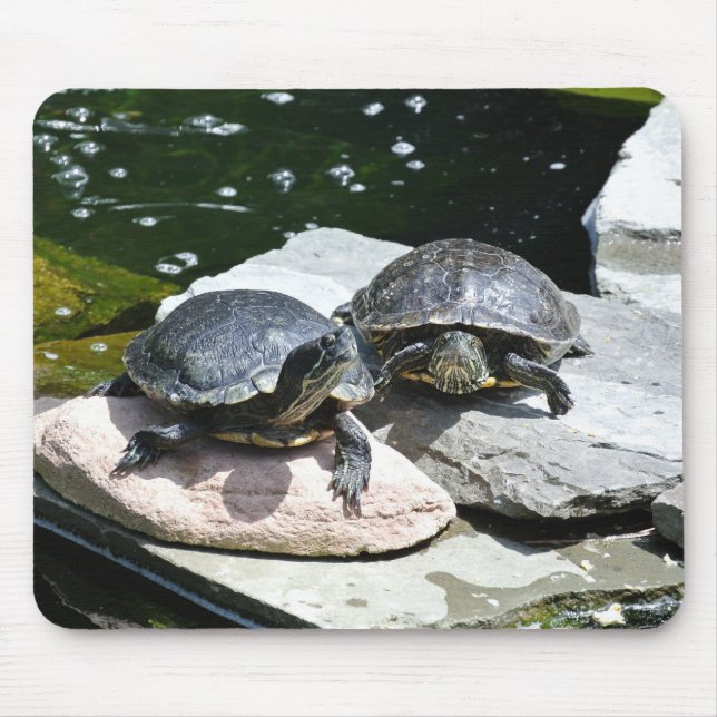 Mousepad Tartarugas Gêmeas - (Frente)
