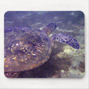 Mousepad Tartarugas marinhas do Havaí
