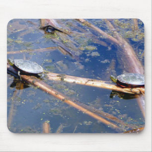 Mousepad Tartarugas pintadas (picta do Chrysemys)
