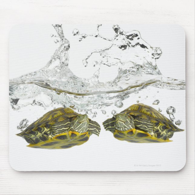 Mousepad Tartarugas vermelhas (Frente)