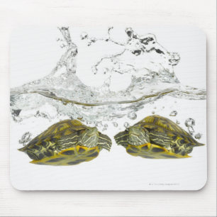 Mousepad Tartarugas vermelhas do slider