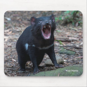 Mousepad Tasmânia Diabo Tasmânia Austrália Fecha Foto