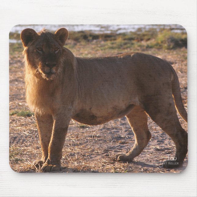 Mousepad Tau, Leão, Foto (Frente)