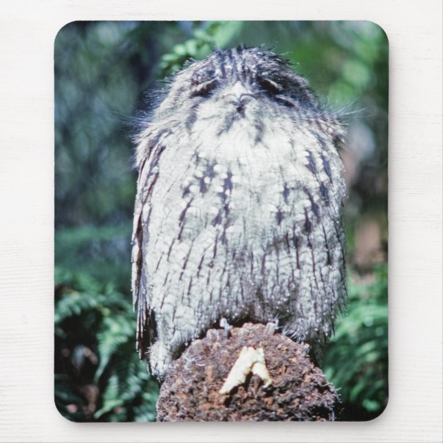 Mousepad Tawny Frogmouth, Tasmânia - Austrália (Frente)
