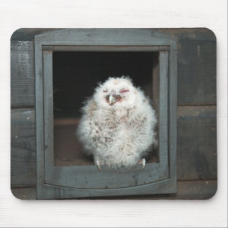 Mousepad Tawny Owl