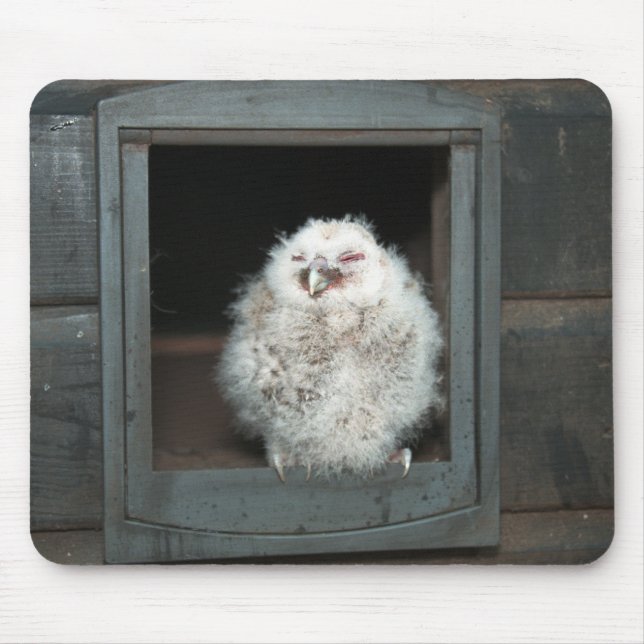 Mousepad Tawny Owl (Frente)