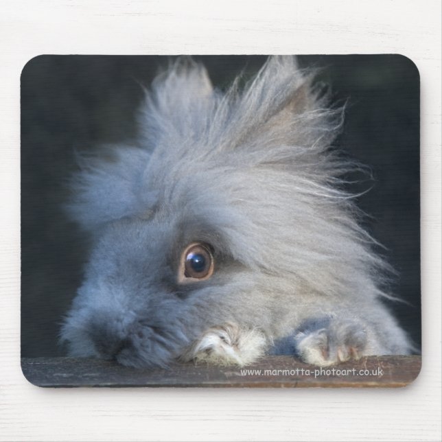Mousepad Taz Mousemat (Frente)