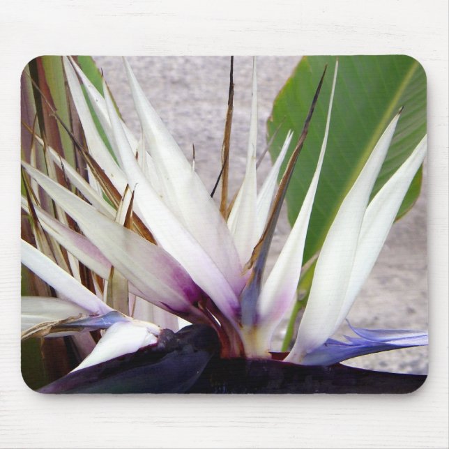 Mousepad Te Amo. (Frente)