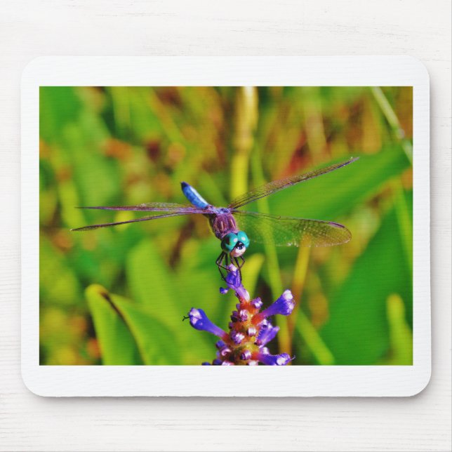 Mousepad Teal Rainbow Dragonfly (Frente)