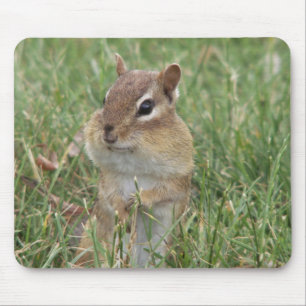 Mousepad Tecla Chipk Cheeks