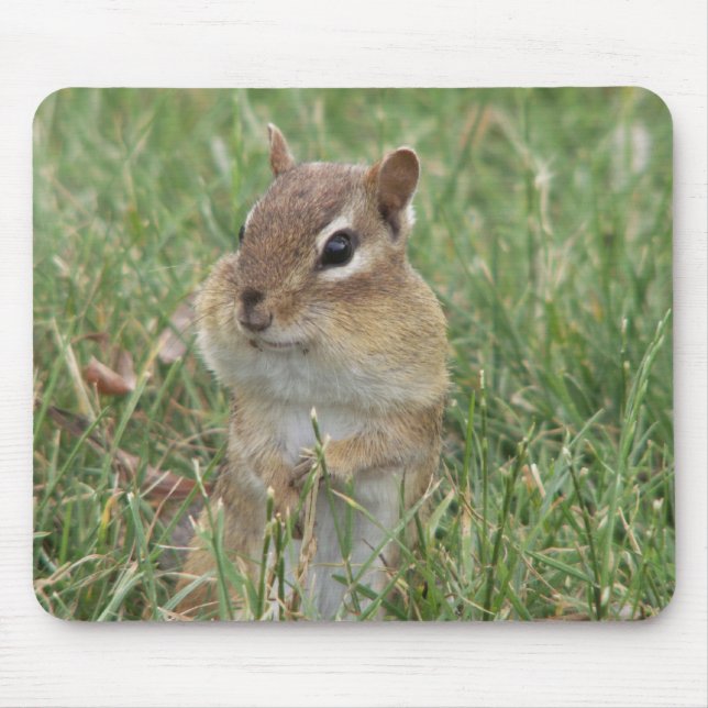 Mousepad Tecla Chipk Cheeks (Frente)