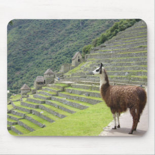 Mousepad teclado