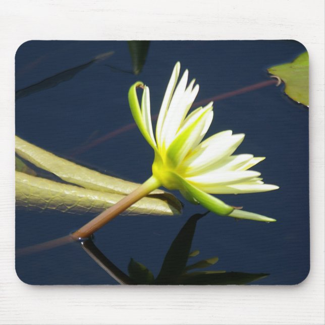 Mousepad teclado aquoso branco lotus (Frente)
