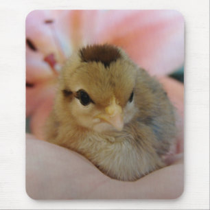 Mousepad Teeny na minha mão