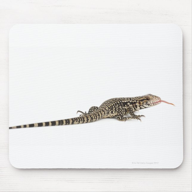 Mousepad Tegu azul - Tupinambis merianae (Frente)