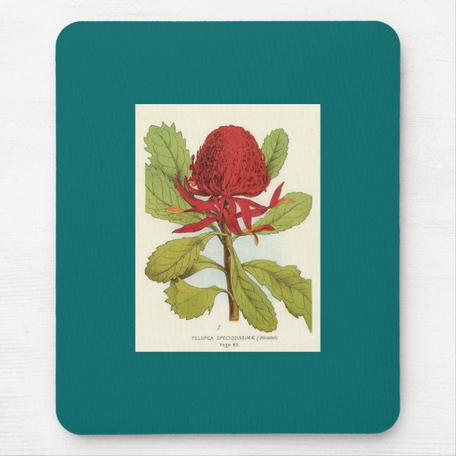 Mousepad Telopea Speciosissimae Waratah (Frente)