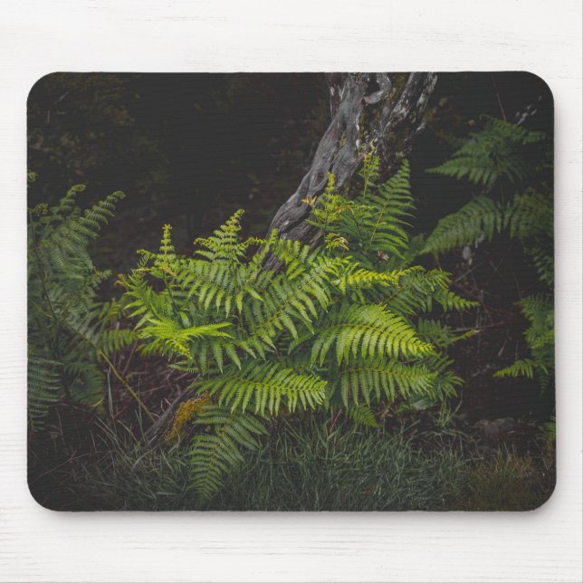 Mousepad tema da natureza verde sombrio com samambaias (Frente)