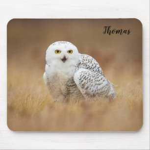 Mousepad Tema de Coruja Snowy da Vida Selvagem