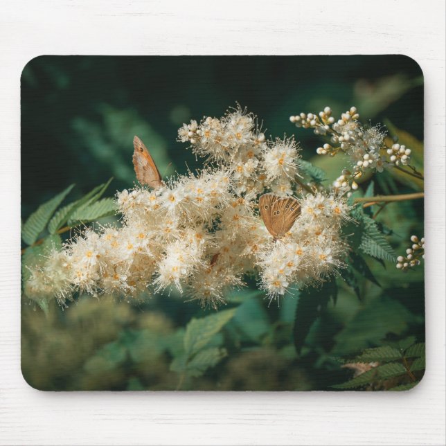 Mousepad Tema florestal com flor em flor e borboletas (Frente)