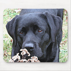 Mousepad Tempo - Laboratório Preto - Labrador Preto
