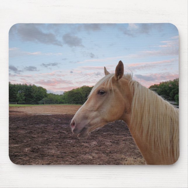 Mousepad Tennessee Walking Horse (Frente)