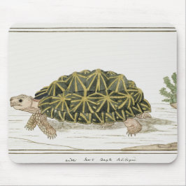 Mousepad Tent Tortoise | Turtle Beach Sea Animal