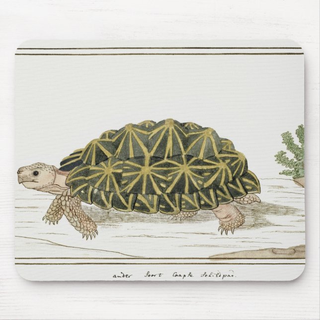Mousepad Tent Tortoise | Turtle Beach Sea Animal (Frente)