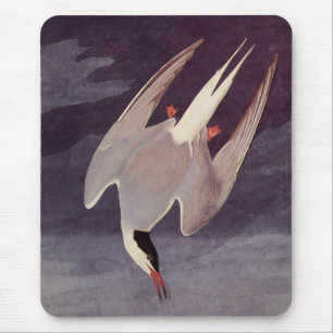 Mousepad Terno Ártico por John James Audubon, Aves Vintage