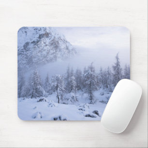 Mousepad Terra maravilhosa do inverno, nevoeiro, floresta d