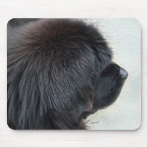 Mousepad Terra Nova