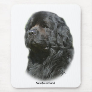 Mousepad Terra Nova