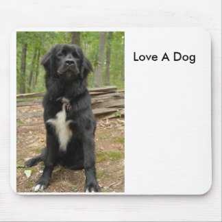 Mousepad Terra Nova, ama um cão