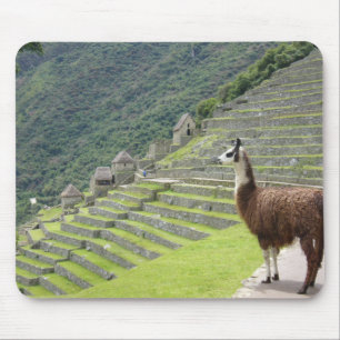 Mousepad terras da lama