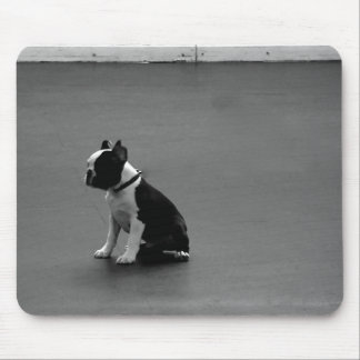 Mousepad Terrier de Boston do filhote de cachorro de DRU
