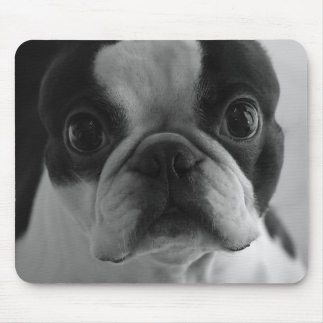 Mousepad Terrier de Danson Boston (Frente)