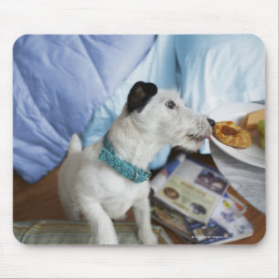 Mousepad Terrier de Jack russell