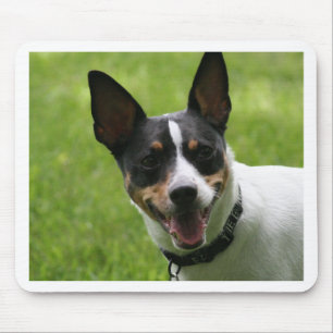 Mousepad terrier de rato