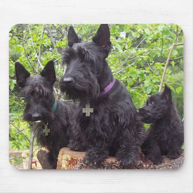 Mousepad Terrier escoceses (Frente)