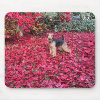 Mousepad Terrier Galês