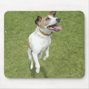 Mousepad Terrier que salta, vista elevado de Jack russell