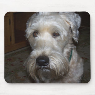 Mousepad Terrier Wheaten