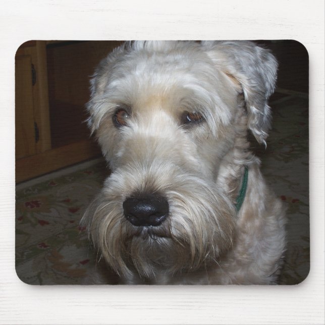 Mousepad Terrier Wheaten (Frente)