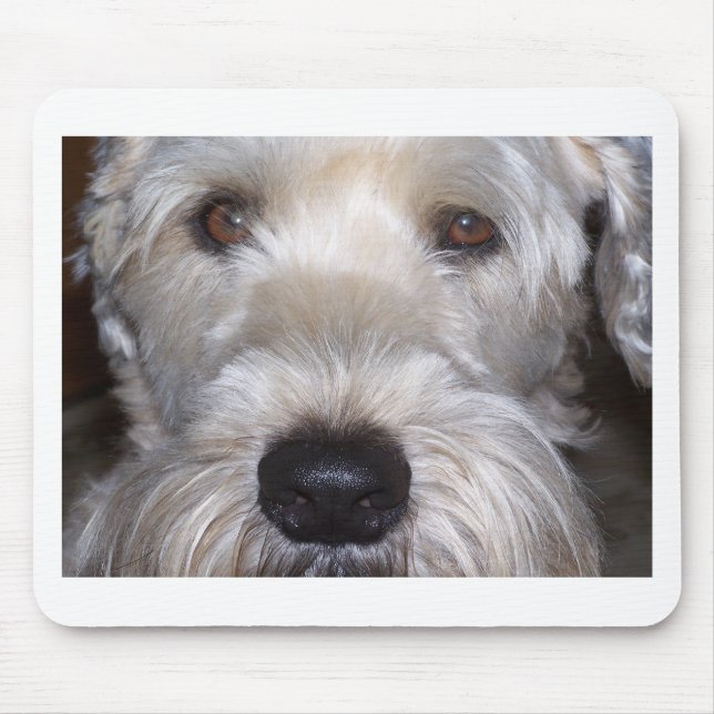 Mousepad Terrier Wheaten brandamente revestido (Frente)