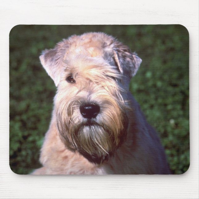 Mousepad Terrier Wheaten Macio-revestido (Frente)