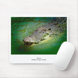 Mousepad Território Norte Darwin - Placa do Rato Crocodilo