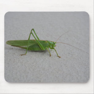 Mousepad Tettigonia viridissima